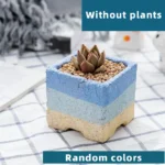 SKU Gradient Square Ceramic Planter 06 150x150