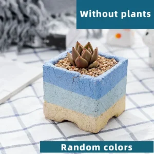 Square Mixed Blue Stripe Random colors