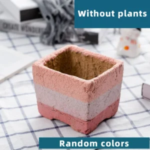 Wide Mixed Red Stripe Random colors