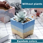 SKU Gradient Square Ceramic Planter 08 150x150