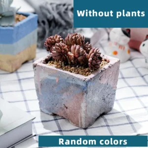 Wide Abstract Painted Random colors