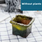 SKU Gradient Square Ceramic Planter 10 150x150