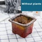 SKU Gradient Square Ceramic Planter 11 150x150