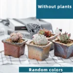 SKU Gradient Square Ceramic Planter 12 150x150