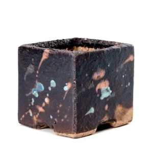 Square Black Polka Dot