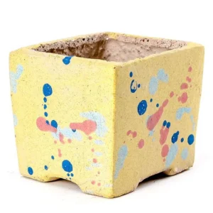 Wide Yellow Polka Dot