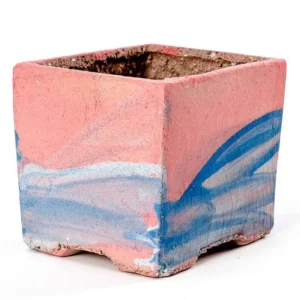 Open Wide Pink Blue