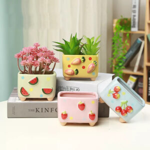 Whimsical Fruit Square Succulent Pots