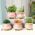 SKU Hand Painted Mushroom Pot 18 150x150