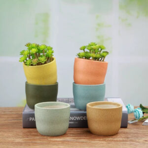 Speckled Cylindrical Succulent Pot Set