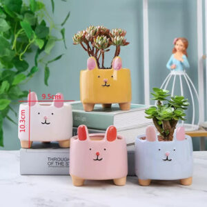 Cute Rabbit Ear Succulent Pots