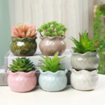 SKU Hand Painted Mushroom Pot 29 150x150