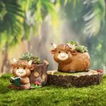 SKU Highland Cow Succulent Planter 07 150x150