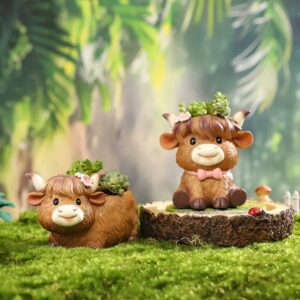 Reading Lying Cow Succulent Kit
