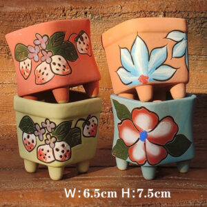 Set of 4 Hand-Painted Succulent Pots