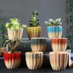SKU Korean Hand Painted Succulent Pot 04 150x150