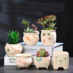 SKU Korean Hand Painted Succulent Pot 07 150x150