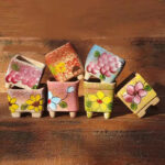SKU Korean Hand Painted Succulent Pot 08 150x150
