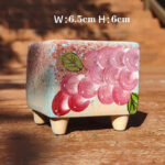 SKU Korean Hand Painted Succulent Pot 09 150x150