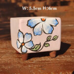 SKU Korean Hand Painted Succulent Pot 12 150x150