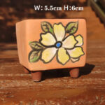 SKU Korean Hand Painted Succulent Pot 14 150x150