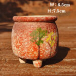 SKU Korean Hand Painted Succulent Pot 16 150x150