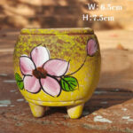 SKU Korean Hand Painted Succulent Pot 18 150x150