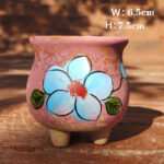 SKU Korean Hand Painted Succulent Pot 19 150x150