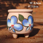 SKU Korean Hand Painted Succulent Pot 20 150x150