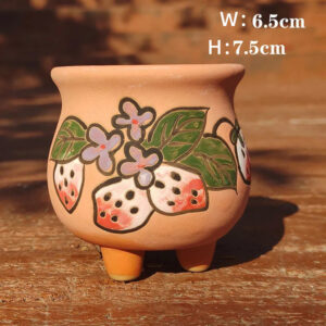 Terracotta Strawberry Round Pot