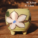 SKU Korean Hand Painted Succulent Pot 22 150x150