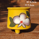 SKU Korean Hand Painted Succulent Pot 23 150x150