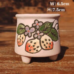 SKU Korean Hand Painted Succulent Pot 25 150x150