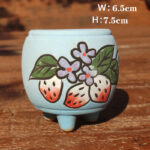 SKU Korean Hand Painted Succulent Pot 26 150x150