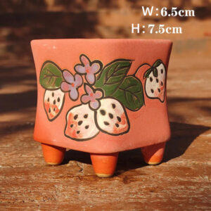 Pink Strawberry Square Pot