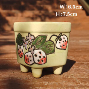 Green Strawberry Square Pot