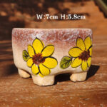 SKU Korean Hand Painted Succulent Pot 35 150x150