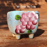 SKU Korean Hand Painted Succulent Pot 36 150x150