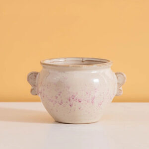 Speckled Ear Handle Pot