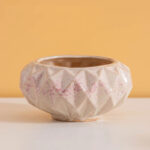 SKU Korean Pink Succulent Pot 06 150x150