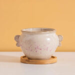 SKU Korean Pink Succulent Pot 09 150x150