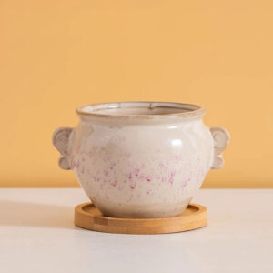 Ear Handle Pot with Tray