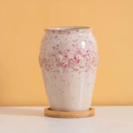 SKU Korean Pink Succulent Pot 11 150x150