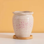 SKU Korean Pink Succulent Pot 12 150x150