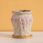 SKU Korean Pink Succulent Pot 13 150x150