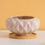 SKU Korean Pink Succulent Pot 14 150x150