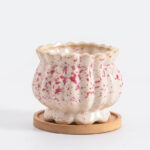 SKU Korean Pink Succulent Pot 15 150x150