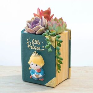 Little Prince Succulent Book Planter