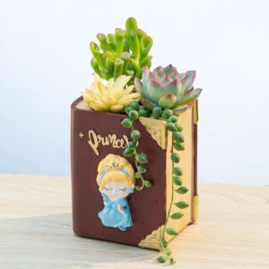 Princess Succulent Book Planter