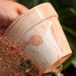 SKU Macchiato Succulent Pot 01 150x150